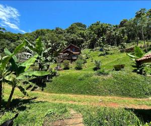 巴西丛林的日常生活