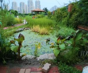 天津双新食物森林