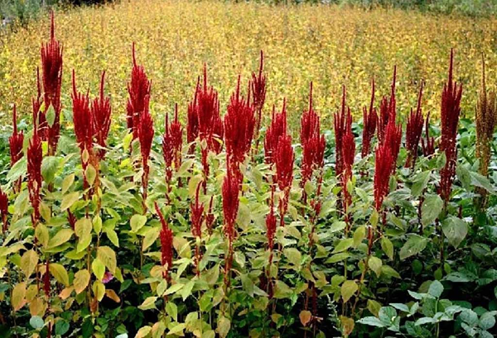 96364576-30e3-4515-8e5e-d237e562c601.jpg 96364576-30e3-4515-8e5e-d237e562c601.jpg