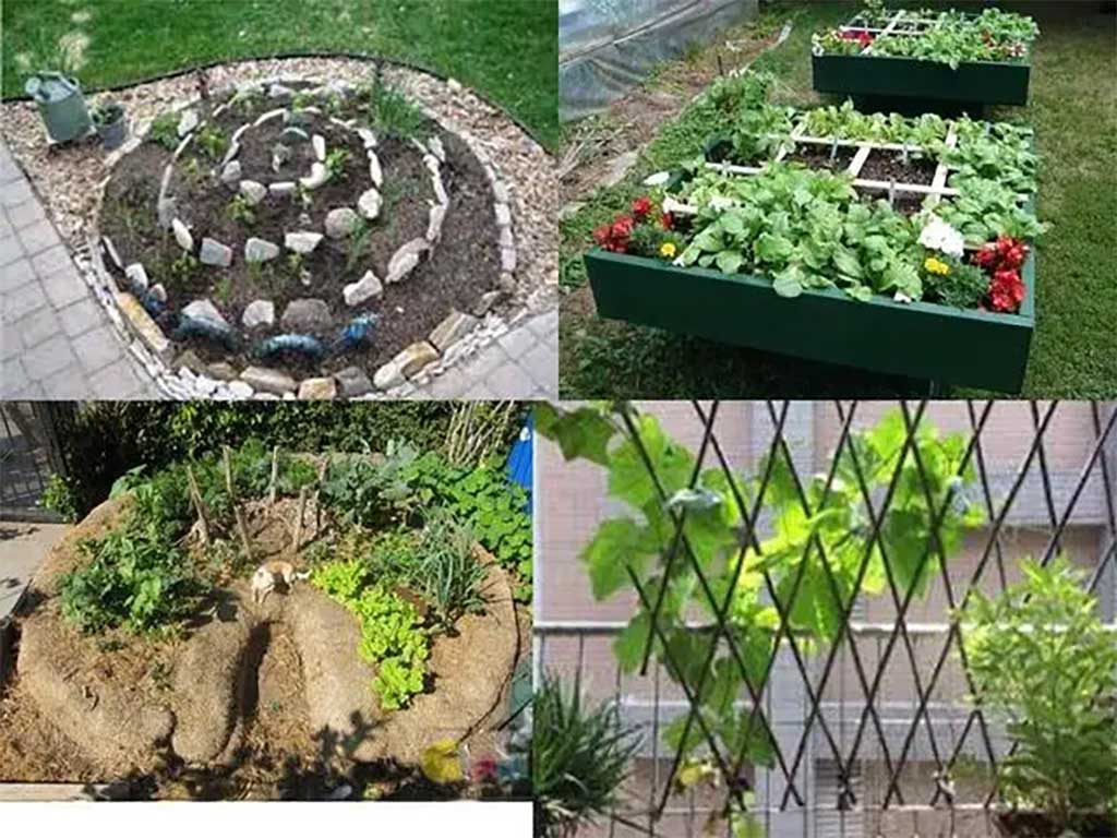 c4053ff6-572e-4fff-9268-bc8d79ad5f8a.jpg c4053ff6-572e-4fff-9268-bc8d79ad5f8a.jpg