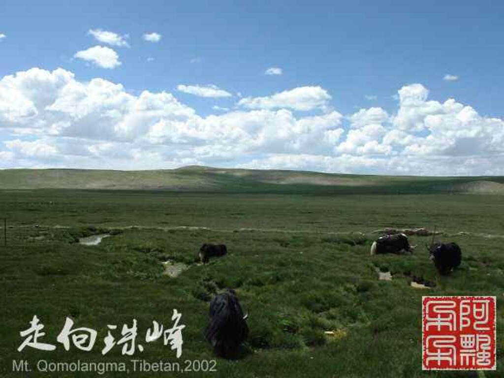 走向珠穆朗玛_Qomolangma_02179.jpg 走向珠穆朗玛_Qomolangma_02179.jpg