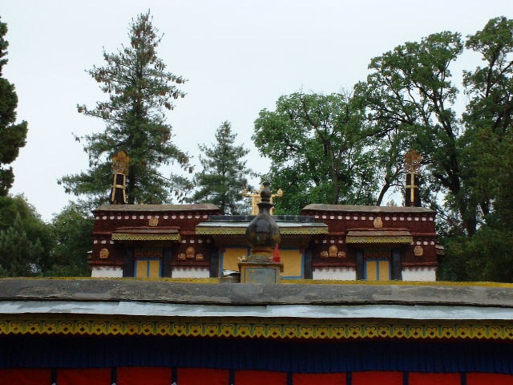 DSCF0333.JPG .jpg DSCF0333.JPG .jpg