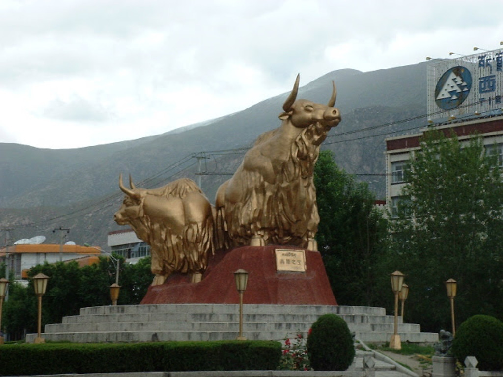 DSCF0317.JPG .jpg DSCF0317.JPG .jpg