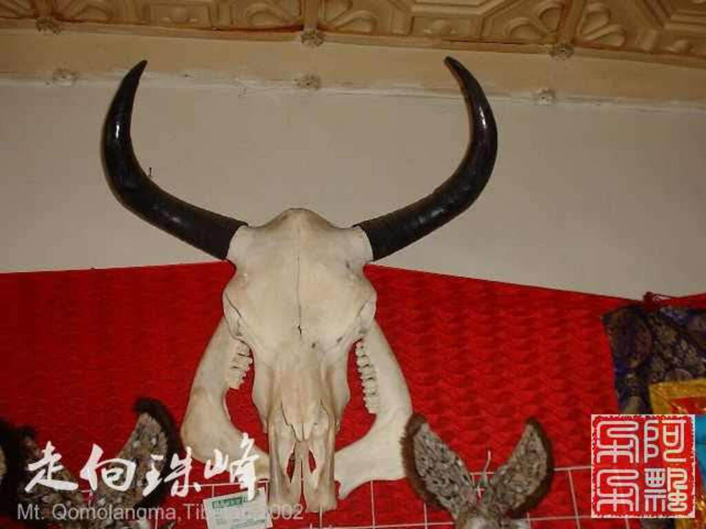 走向珠穆朗玛_Qomolangma_02100.jpg 走向珠穆朗玛_Qomolangma_02100.jpg