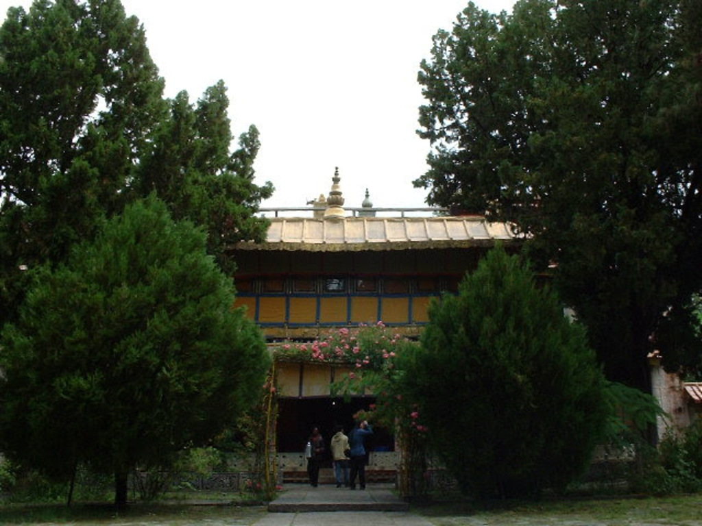 DSCF0344.JPG .jpg DSCF0344.JPG .jpg