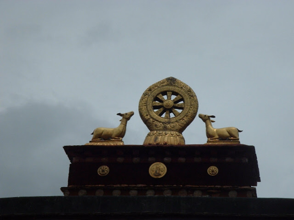 DSCF0316.JPG .jpg DSCF0316.JPG .jpg