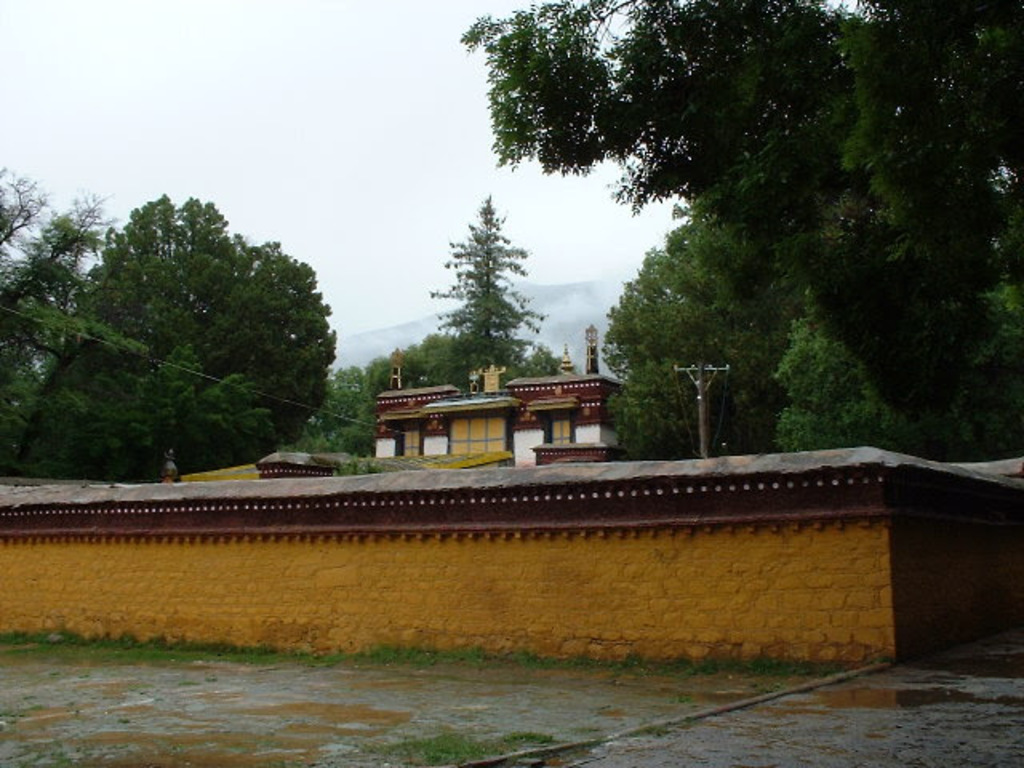 DSCF0330.JPG .jpg DSCF0330.JPG .jpg